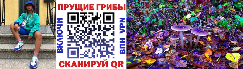 Галлюциногенные грибы ЛСД  Кузнецк 