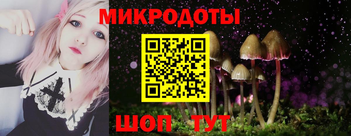 Псилоцибиновые грибы GOLDEN TEACHER Кузнецк